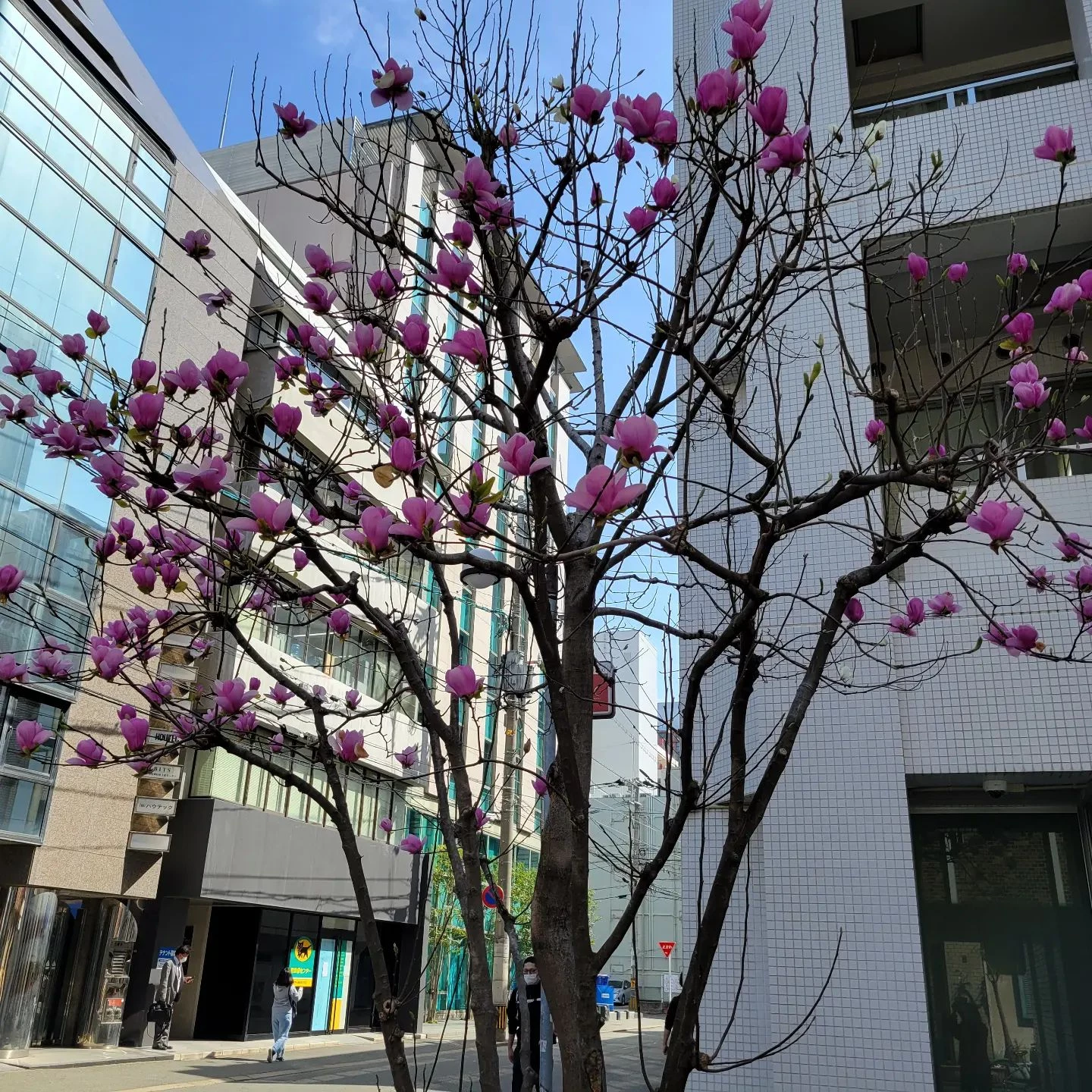 画像1430