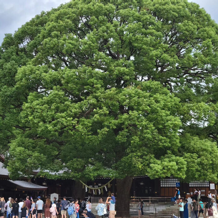 画像1546