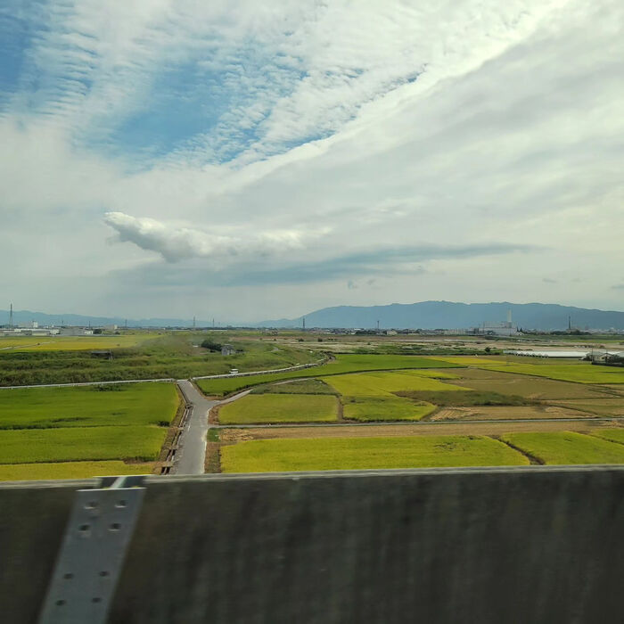 画像1555